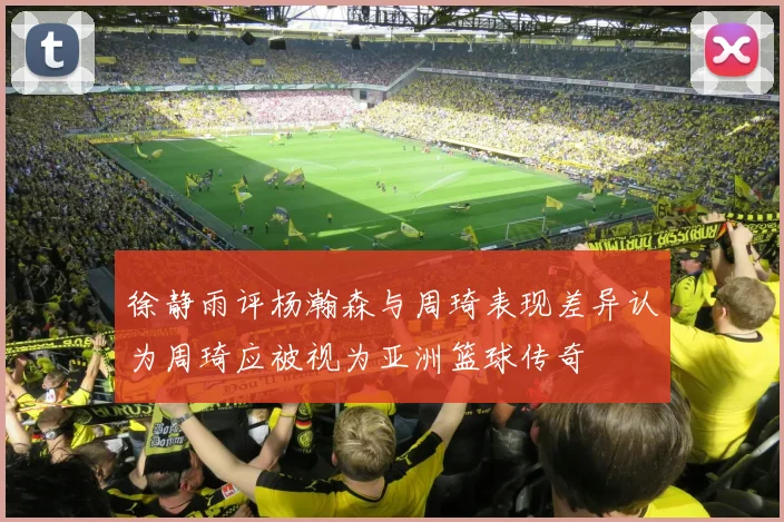 徐静雨评杨瀚森与周琦表现差异认为周琦应被视为亚洲篮球传奇