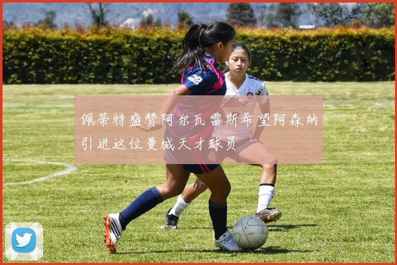 佩蒂特盛赞阿尔瓦雷斯希望阿森纳引进这位曼城天才球员